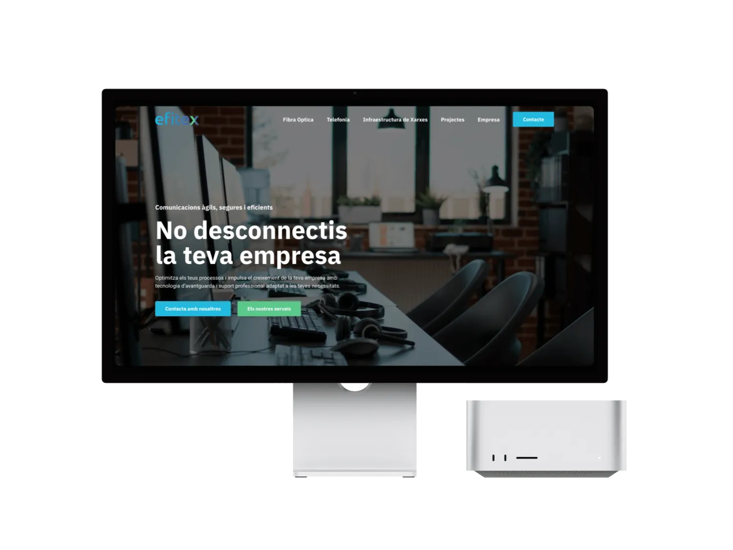 Web de Efitex en una pantalla d'ordinador